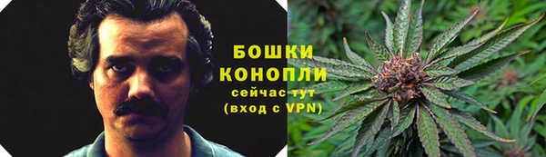 гашик Надым