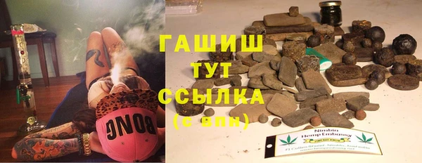 гашик Надым
