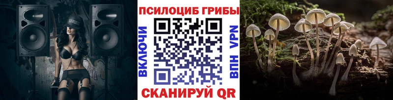 Галлюциногенные грибы ЛСД  blacksprut зеркало  Кировград  наркошоп 